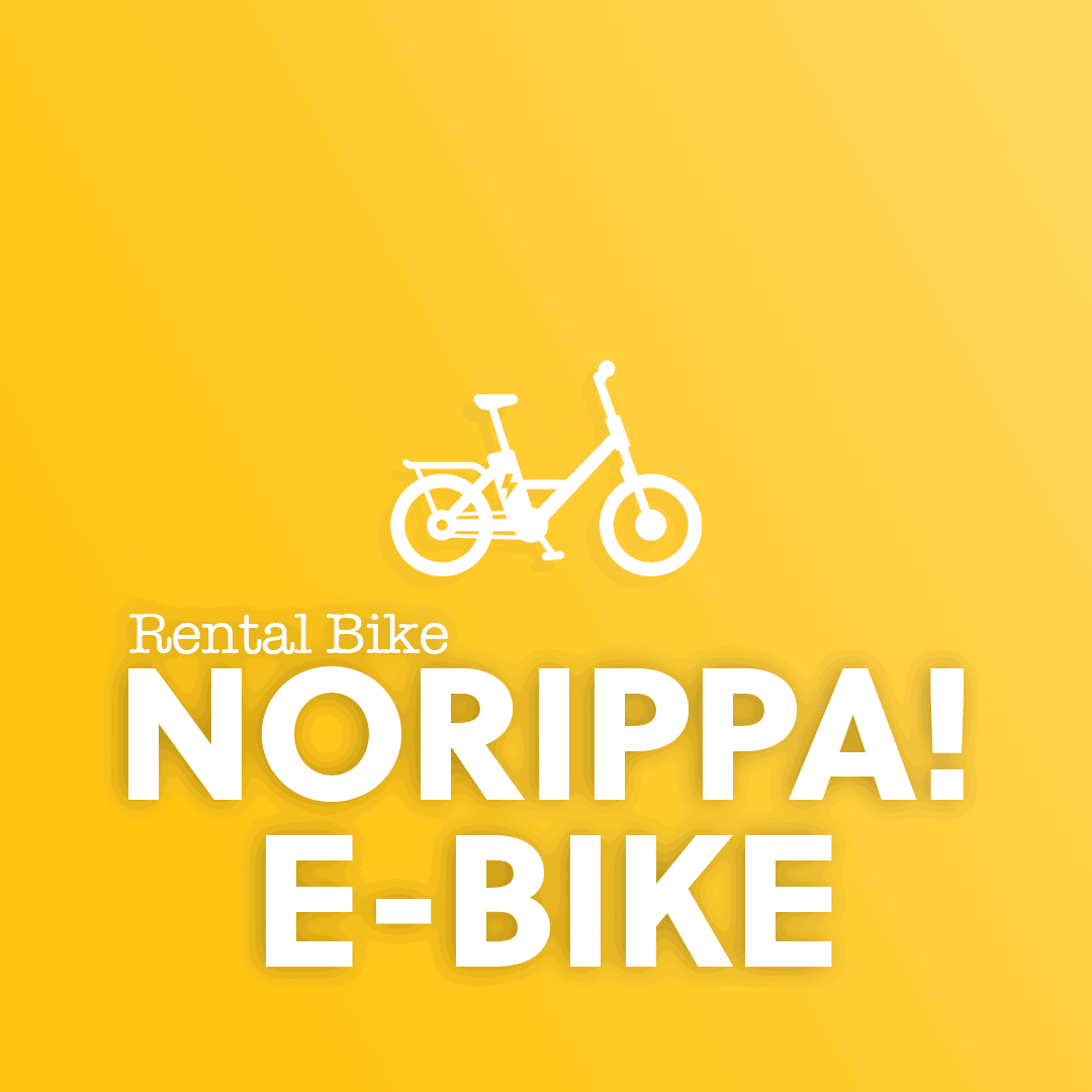 NORIPPA eBike-1回決済