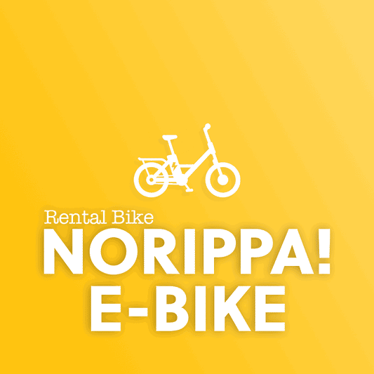NORIPPA eBike-定期決済